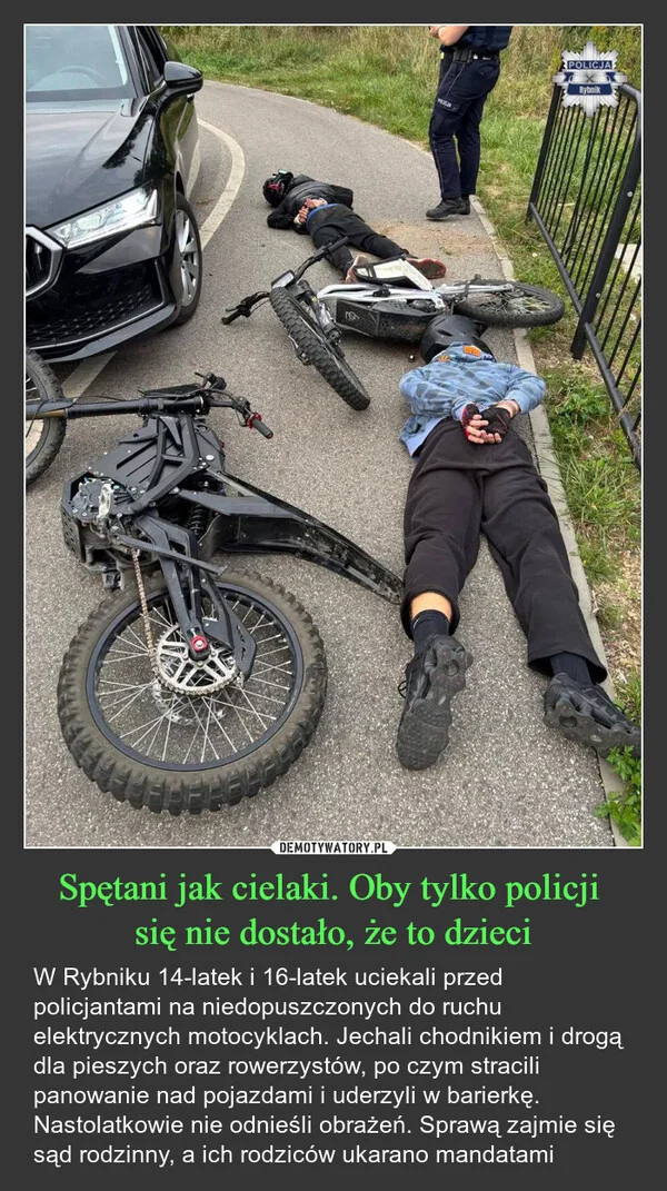 
    Spętani jak cielaki. Oby tylko policji się nie dostało, że to dzieci