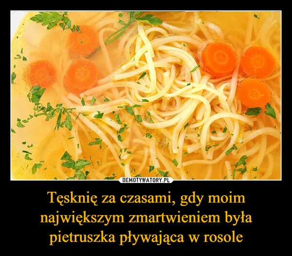 
    Tęsknię za czasami, gdy moim największym zmartwieniem była pietruszka pływająca w rosole