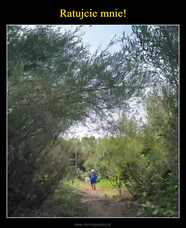 
    Ratujcie mnie!