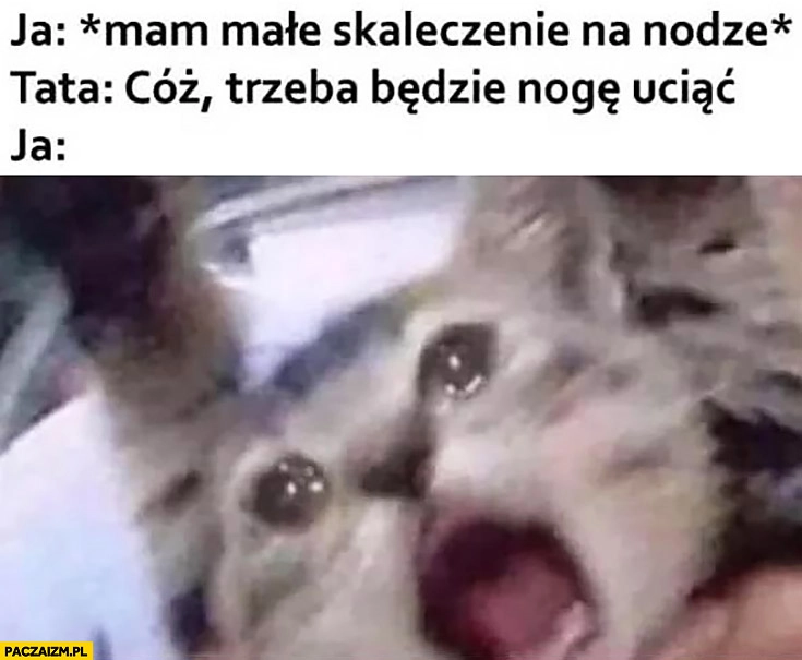 
    Ja: mam małe skaleczenie na nodze, tata: cóż trzeba będzie nogę uciąć ja: przerażony kot