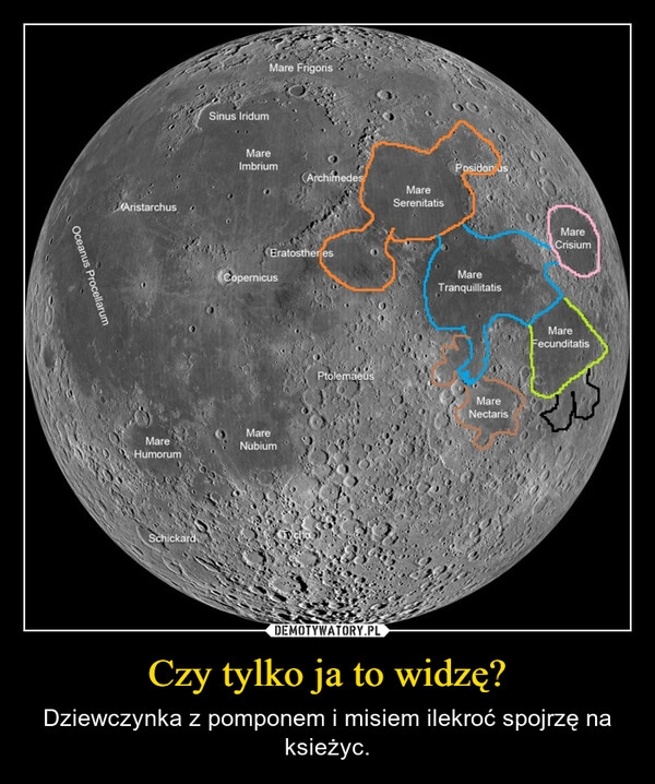 
    Czy tylko ja to widzę?