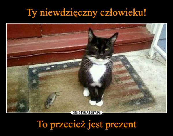 
    Ty niewdzięczny człowieku! To przecież jest prezent