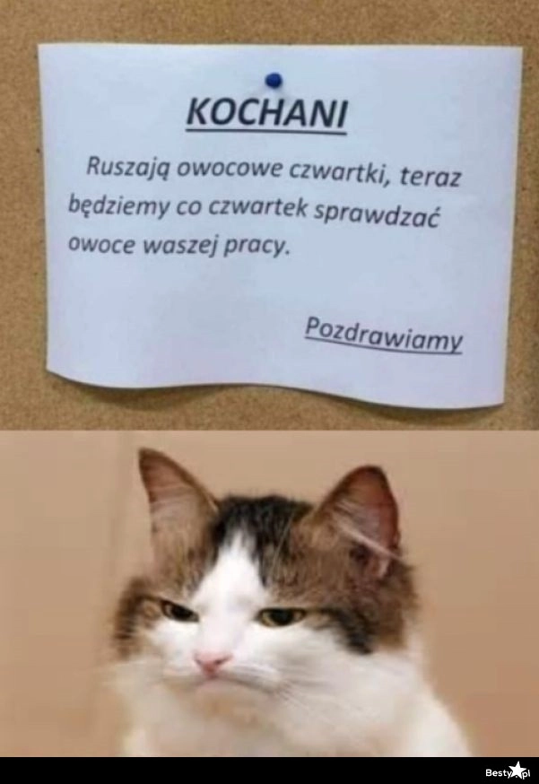 
    Owocowe czwartki 