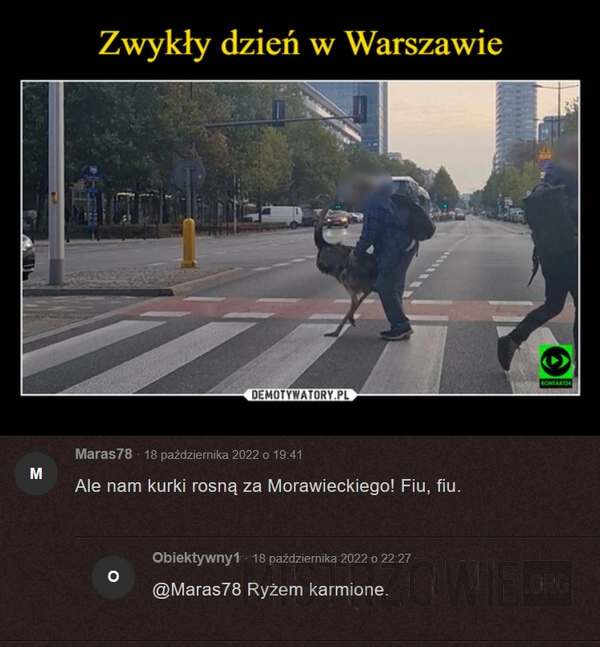 
    Zwykły dzień