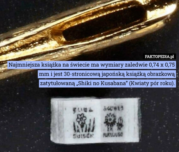 
    Najmniejsza książka na świecie ma wymiary zaledwie 0,74 x 0,75 mm i jest