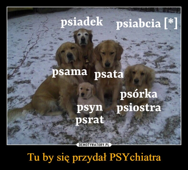 
    Tu by się przydał PSYchiatra