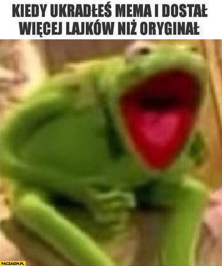 
    Kiedy ukradłeś mema i dostał więcej lajków niż oryginał Kermit żaba