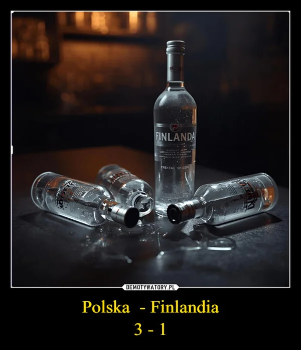 
    Polska - Finlandia 3 - 1