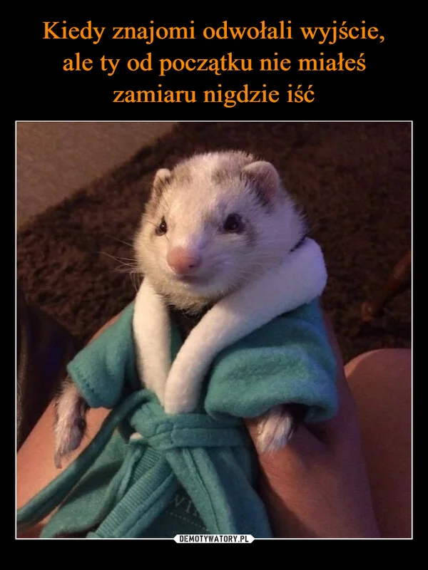 Kiedy znajomi odwołali wyjście, ale ty od początku nie miałeś zamiaru nigdzie iść