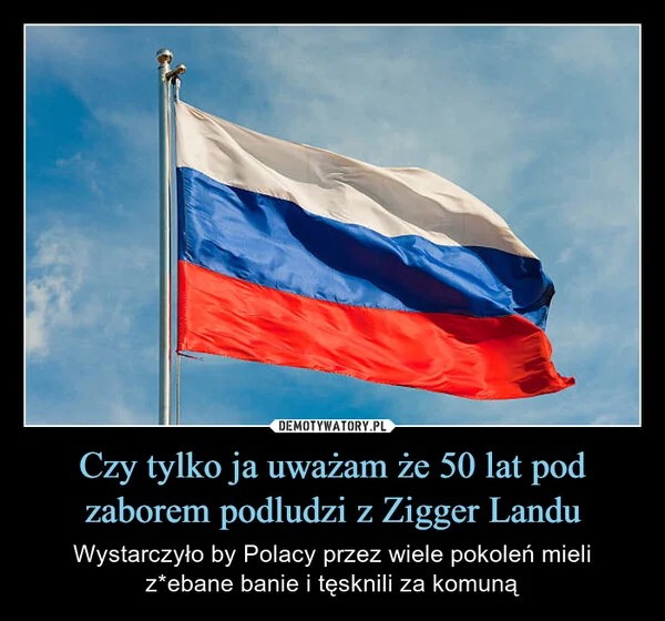 
    Czy tylko ja uważam że 50 lat pod zaborem podludzi z Zigger Landu