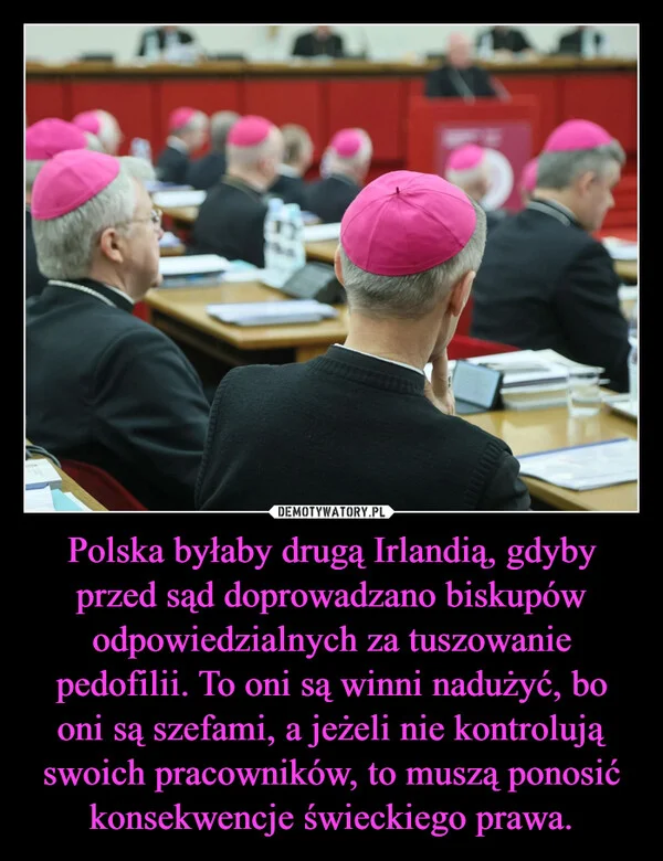 
    Polska byłaby drugą Irlandią, gdyby przed sąd doprowadzano biskupów odpowiedzialnych za tuszowanie pedofilii. To oni są winni nadużyć, bo oni są szefami, a jeżeli nie kontrolują swoich pracowników, to muszą ponosić konsekwencje świeckiego prawa.