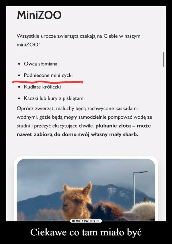 Ciekawe co tam miało być