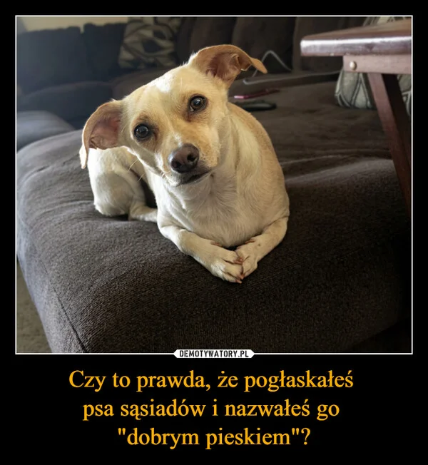 
    Czy to prawda, że pogłaskałeś psa sąsiadów i nazwałeś go 