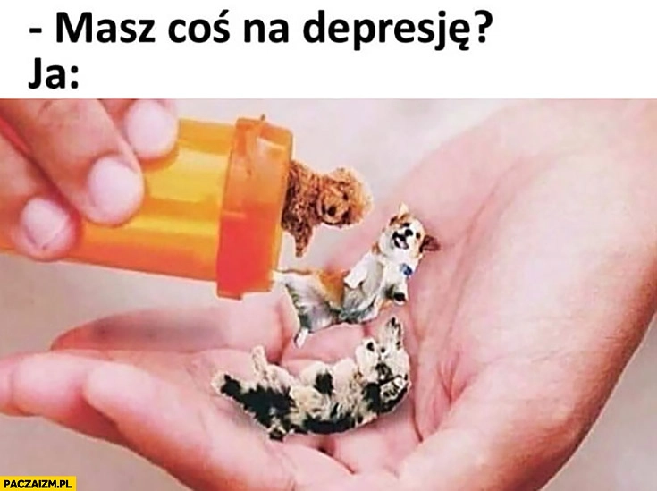 
    Masz coś na depresję? Ja: tabletki leki psy pieski