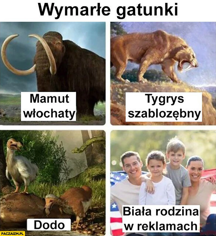 
    Wymarłe gatunki zwierząt mamut włochaty, tygrys szablozębny, dodo, biała rodzina w reklamach