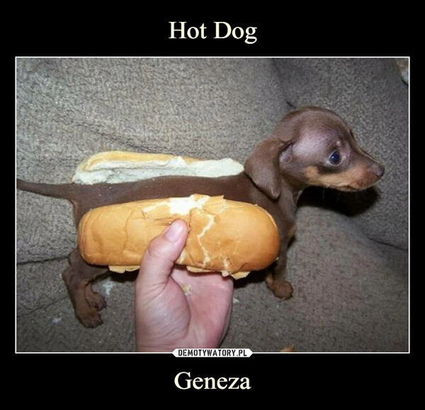 
    Hot Dog Geneza