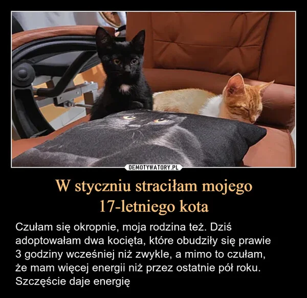 
    W styczniu straciłam mojego 17-letniego kota