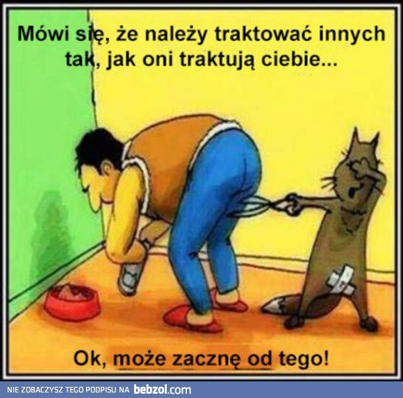 
    Jak Kuba kotu, tak kot Kubie