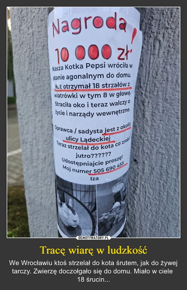 
    Tracę wiarę w ludzkość