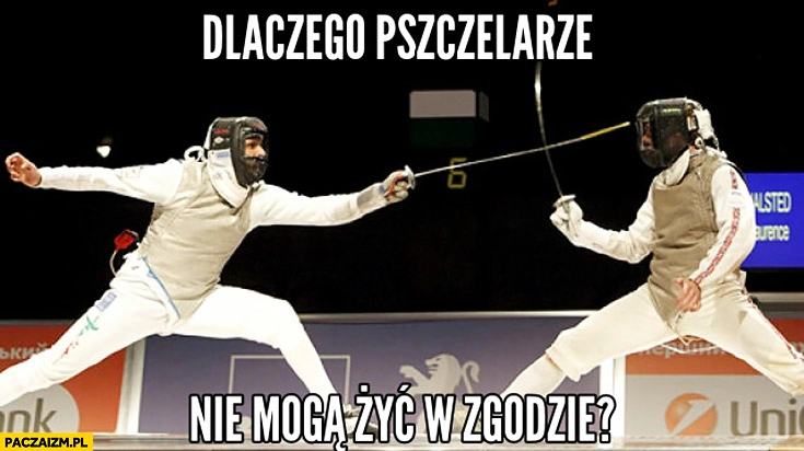 
    Dlaczego pszczelarze nie mogą żyć w zgodzie? Szermierka