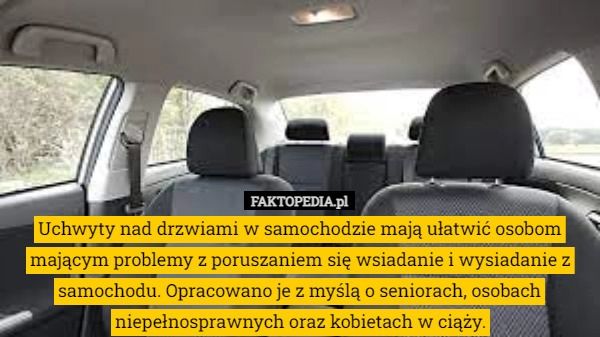 
    Uchwyty nad drzwiami w samochodzie mają ułatwić osobom mającym problemy