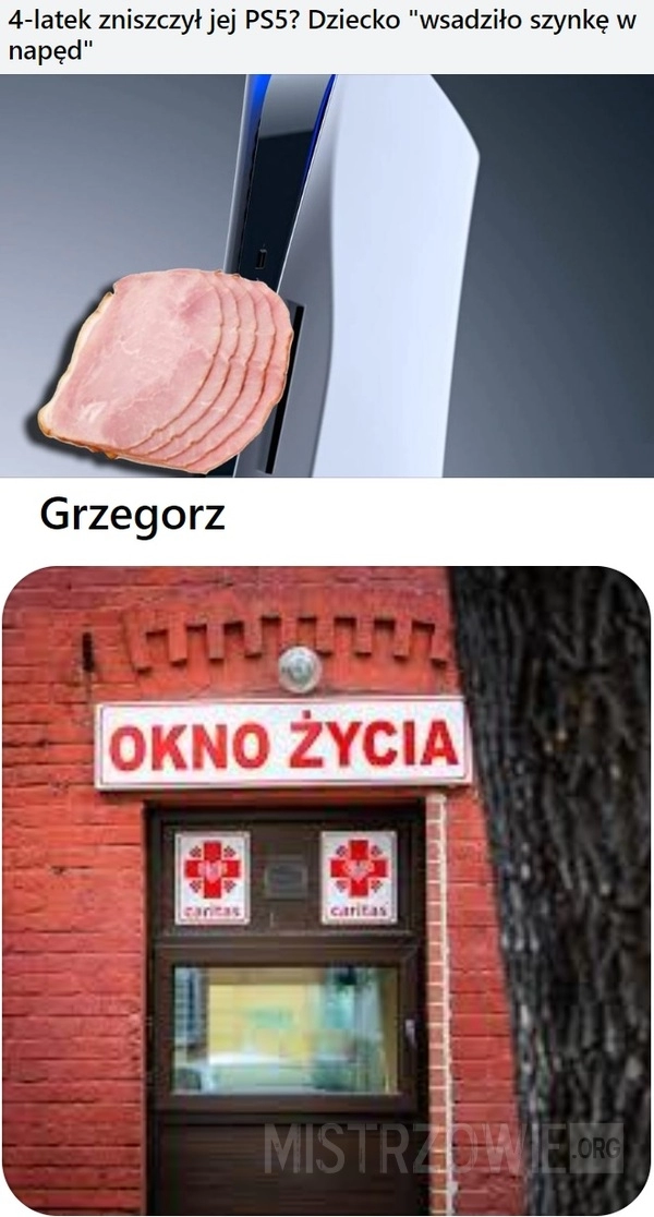 
    Dziecko „wsadziło szynkę w napęd”