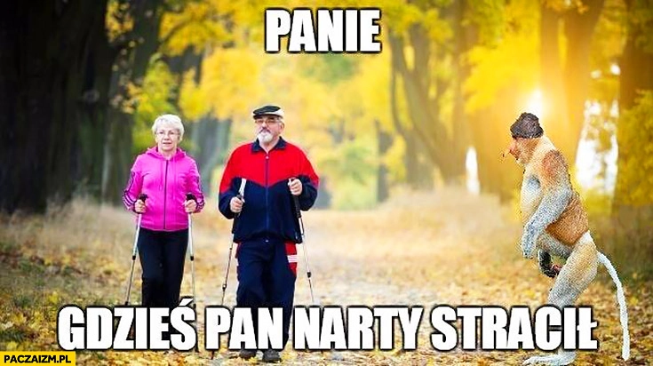 
    Panie gdzieś Pan narty stracił nordic walking typowy Polak nosacz małpa