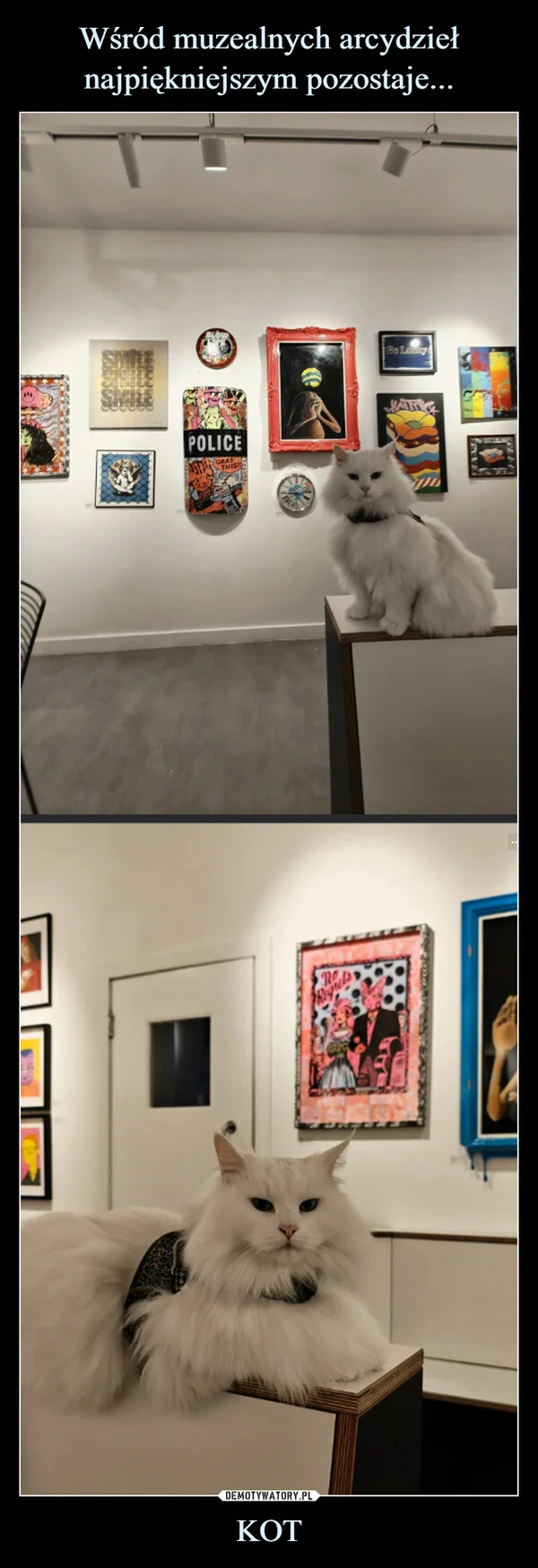 
    Wśród muzealnych arcydzieł najpiękniejszym pozostaje... KOT