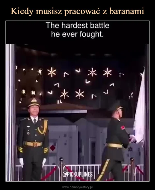 
    Kiedy musisz pracować z baranami