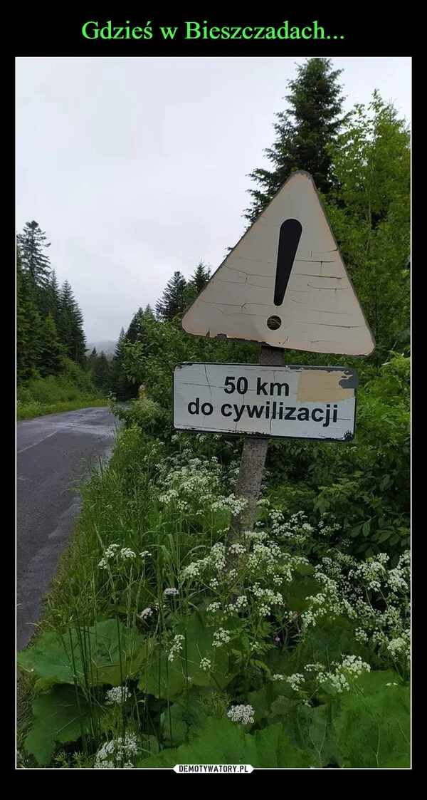 Gdzieś w Bieszczadach...