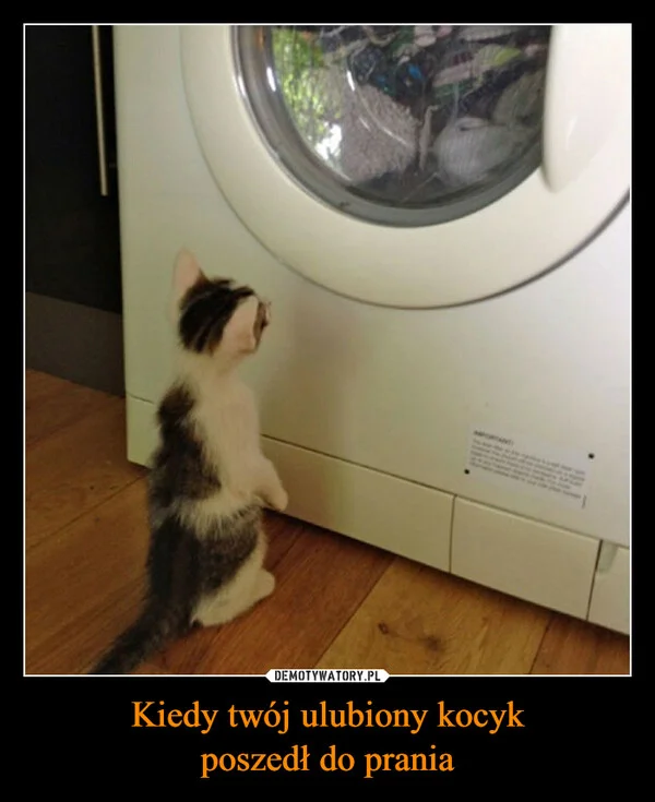 
    Kiedy twój ulubiony kocyk poszedł do prania