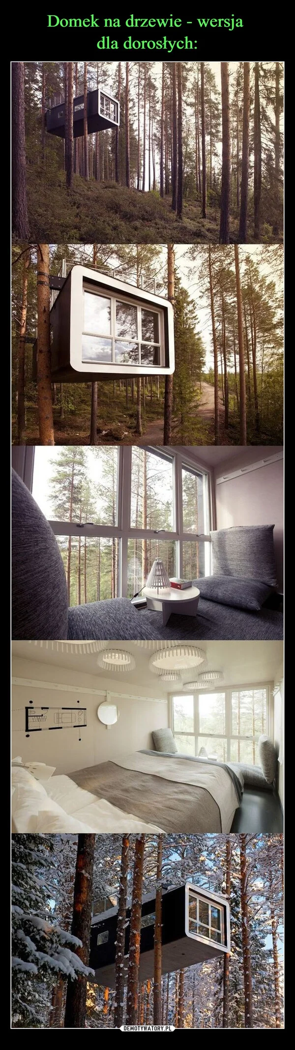 
    Domek na drzewie - wersja dla dorosłych: