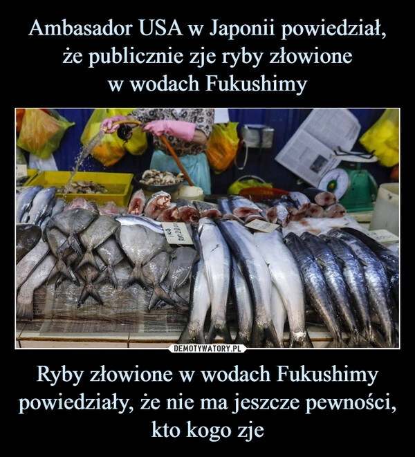 
    Ambasador USA w Japonii powiedział, że publicznie zje ryby złowione
w wodach Fukushimy Ryby złowione w wodach Fukushimy powiedziały, że nie ma jeszcze pewności, kto kogo zje