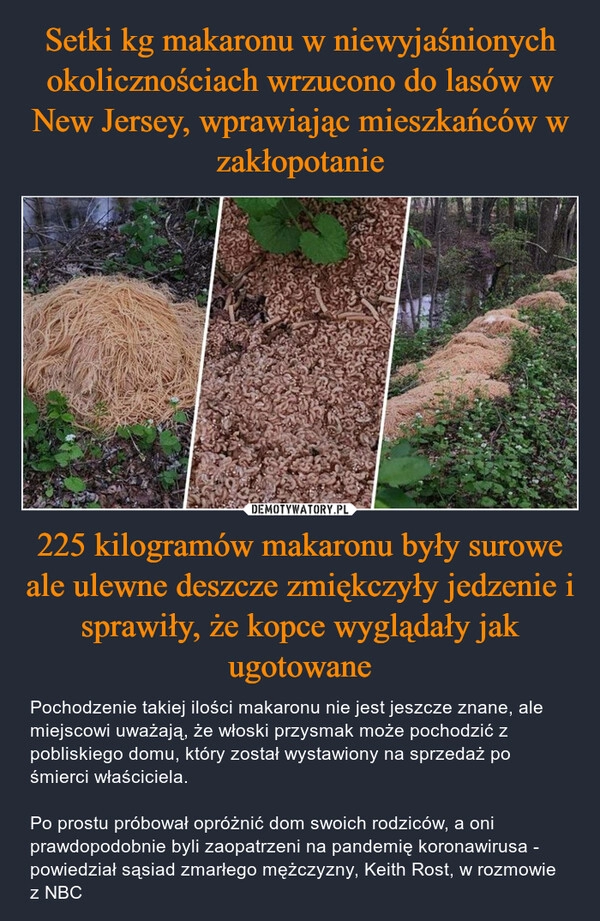 
    Setki kg makaronu w niewyjaśnionych okolicznościach wrzucono do lasów w New Jersey, wprawiając mieszkańców w zakłopotanie 225 kilogramów makaronu były surowe ale ulewne deszcze zmiękczyły jedzenie i sprawiły, że kopce wyglądały jak ugotowane