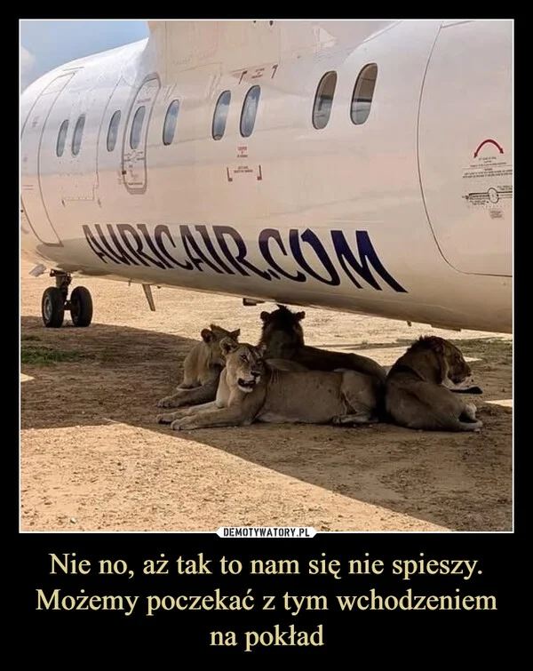 
    Nie no, aż tak to nam się nie spieszy. Możemy poczekać z tym wchodzeniem na pokład