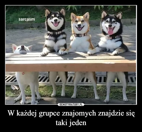 
    W każdej grupce znajomych znajdzie się taki jeden