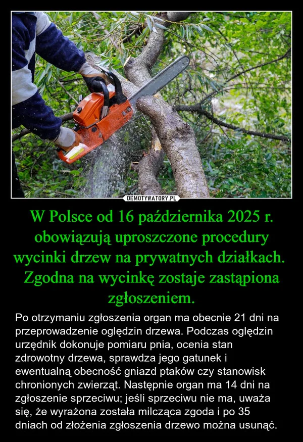 
    W Polsce od 16 października 2025 r. obowiązują uproszczone procedury wycinki drzew na prywatnych działkach. Zgodna na wycinkę zostaje zastąpiona zgłoszeniem.