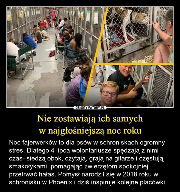 
    Nie zostawiają ich samych w najgłośniejszą noc roku