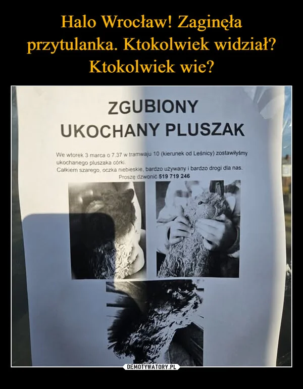 
    Halo Wrocław! Zaginęła przytulanka. Ktokolwiek widział? Ktokolwiek wie?