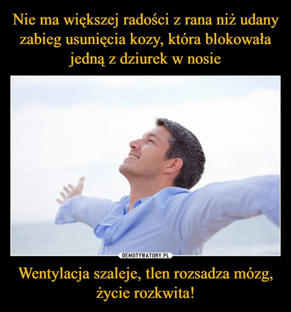 
    Nie ma większej radości z rana niż udany zabieg usunięcia kozy, która blokowała jedną z dziurek w nosie Wentylacja szaleje, tlen rozsadza mózg, życie rozkwita!