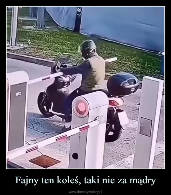 
    Fajny ten koleś, taki nie za mądry