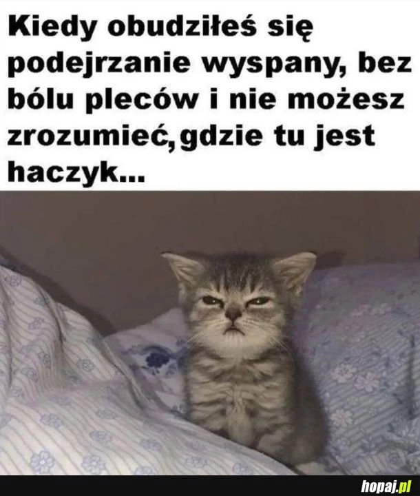 
    Jak podejrzane, tak nieczęste
