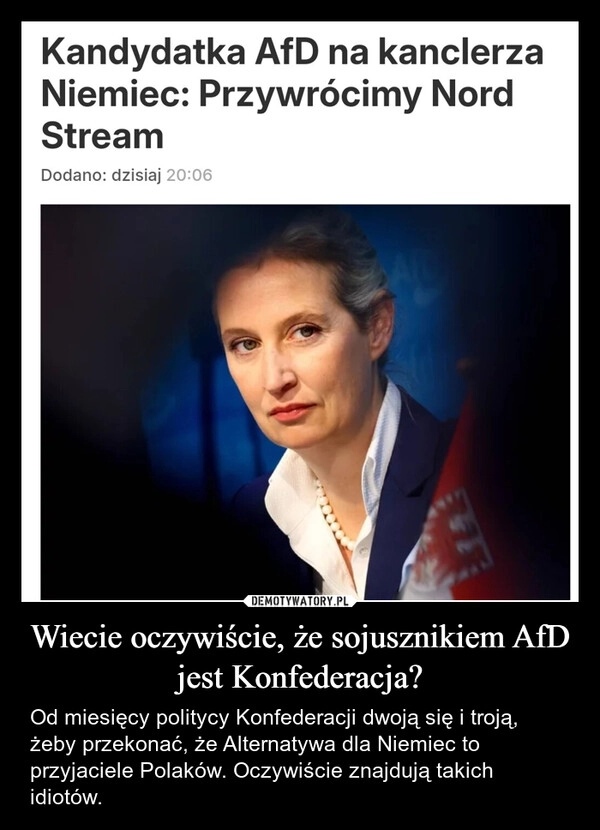 
    Wiecie oczywiście, że sojusznikiem AfD jest Konfederacja?