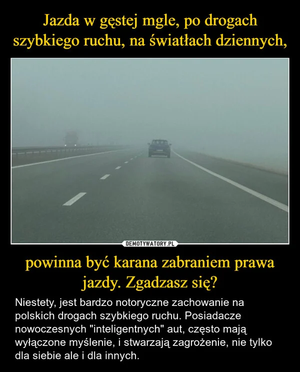 
    Jazda w gęstej mgle, po drogach szybkiego ruchu, na światłach dziennych, powinna być karana zabraniem prawa jazdy. Zgadzasz się?