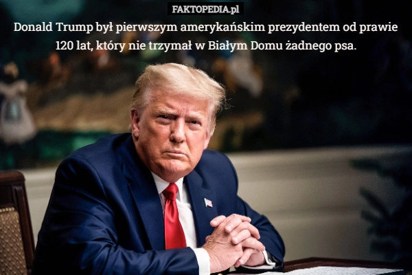 
    Donald Trump był pierwszym amerykańskim prezydentem od prawie 120 lat, który