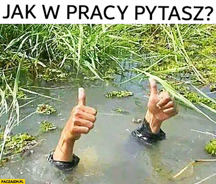 
    Jak tam w pracy pytasz? Wszystko okej. Cały pod wodą tylko ręce kciuki wystają