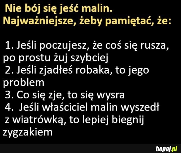 
    Nie bój się jeść malin