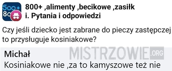 
    Piecza zastępcza