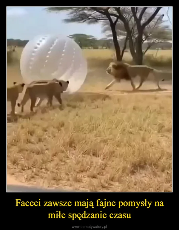 
    Faceci zawsze mają fajne pomysły na miłe spędzanie czasu