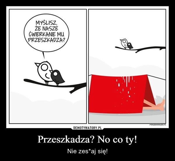 
    Przeszkadza? No co ty!